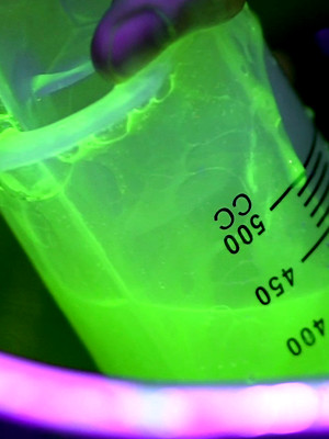 Gay male in The Experiment