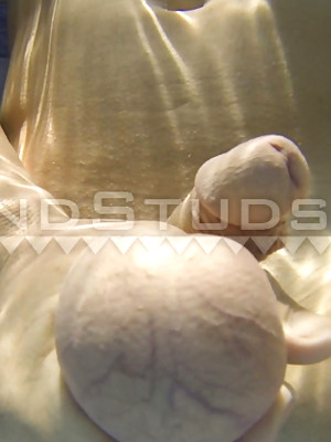 Hot gay sex pics with Hung Muscle Daddy Miller is BACK!