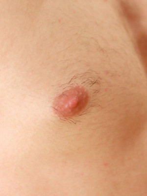 Free gay porn pics with Young Hairy Athlete Jamie Strips & Shows off his Ripped Body