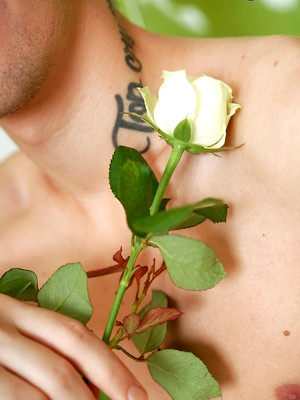 Hot boys nude photos - A hard cock and a tight twink ass!